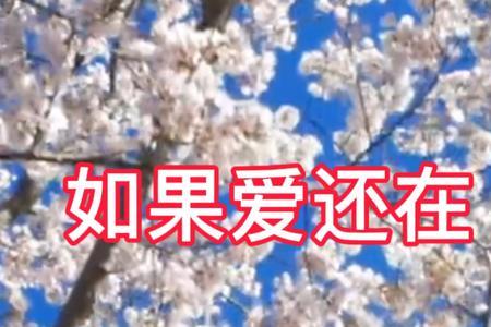 雨中百合谁来渡我原唱现场版