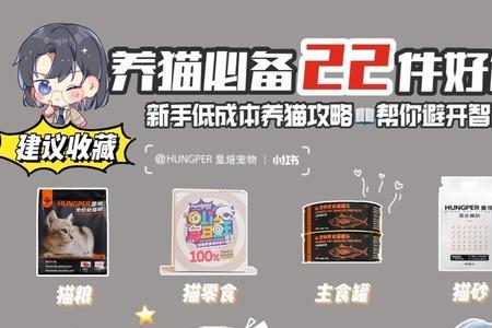 养猫需要哪些必备物品