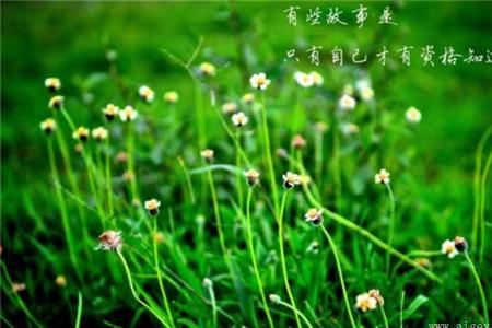 贞洁的句子经典语录