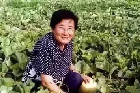 古代种瓜的种植方法