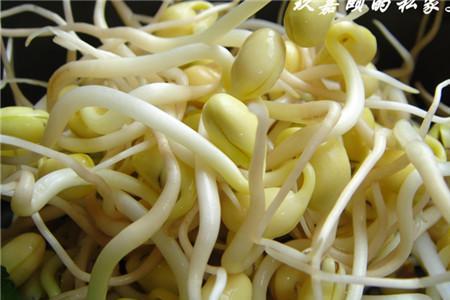 黄豆怎样做豆芽