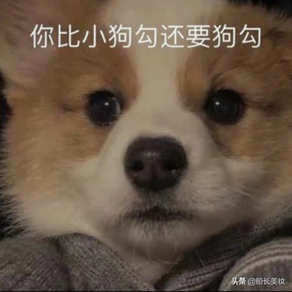 女朋友问你是什么狗怎么回答