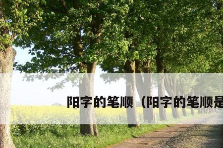 阳字的笔画数是多少