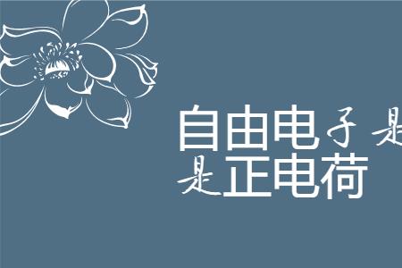 自由电子与电子的区别