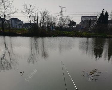 三米深的水夏天钓多深