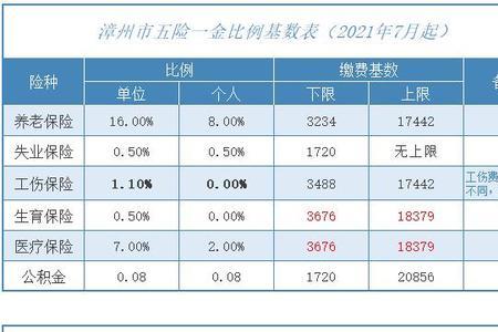 福建职工医保怎么缴费