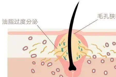什么是皮肤的完整性