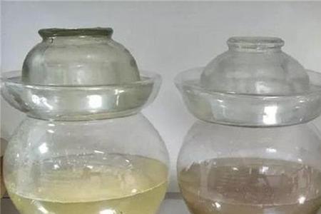 半固态发酵绝密技术