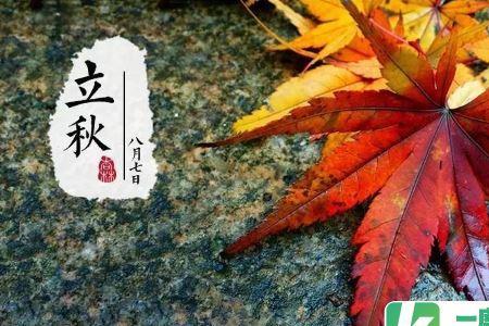 立秋和白露相差几天