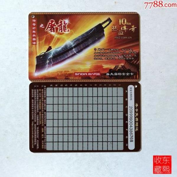 盛大安全卡是什么啊