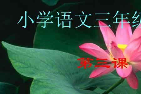 荷花形容词一年级