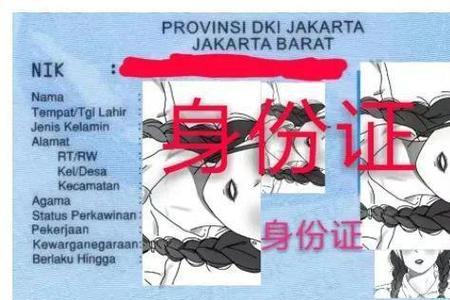 福州网上办理护照流程