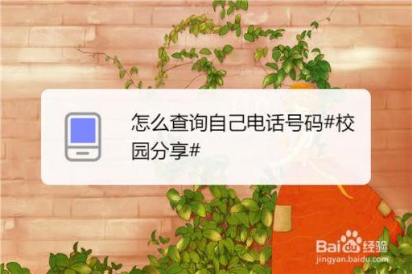 如何查自己手机电话号码