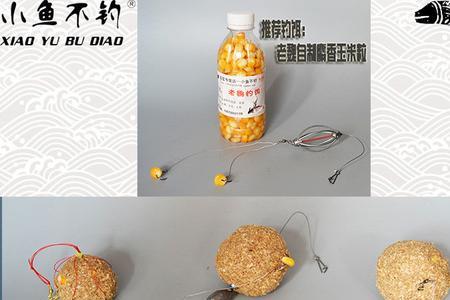 温州海竿冬天用哪种饵料比较好
