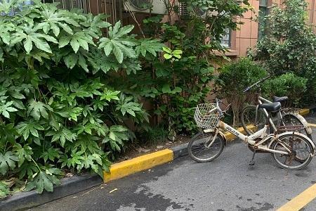大型车停放小型车位属于违法吗