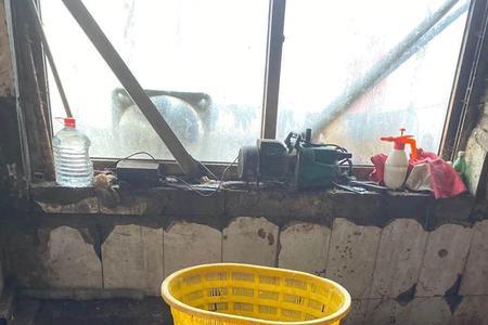太原市什么地方批发牛下水