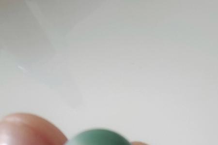 深绿色菩提飘花能变成灰色吗