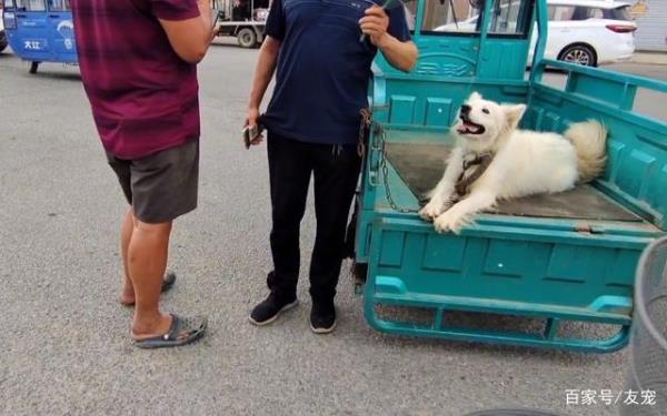 虽然但是和尽管也有什么区别