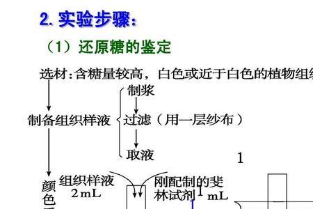 什么是还原性糖