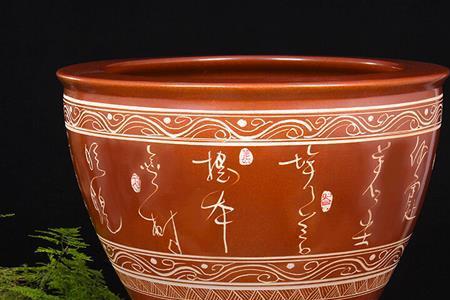 直径60厘米陶瓷鱼缸能养多少鱼