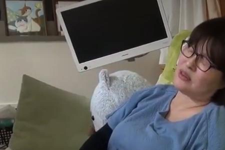 紧急行动松岛惠子兄妹相认