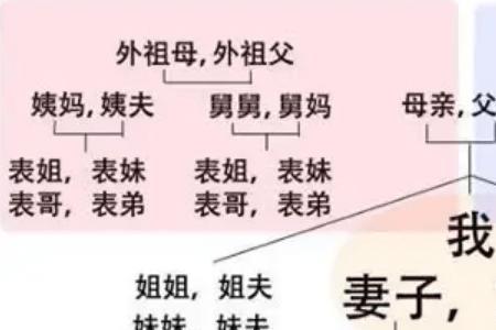 亲叔叔和自己属于直系亲属吗