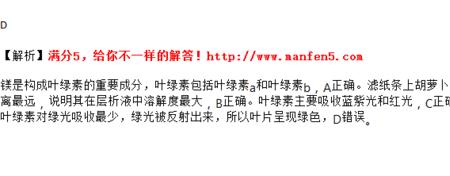 叶绿素a的单位
