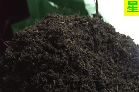 羊粪腐熟后呈酸性还是碱性
