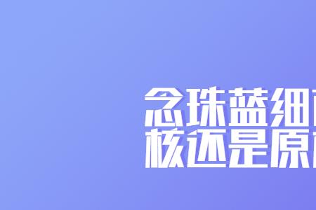 念珠蓝细菌有叶绿体吗