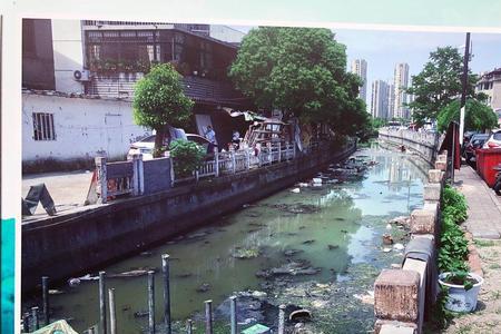 城市大面积臭味什么原因