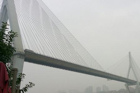 重庆大渡口区伏牛溪怎么做车