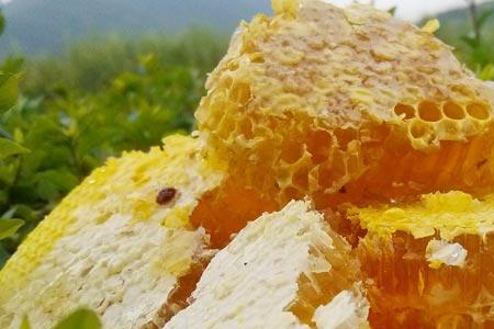 云南保山蜂蜜的特点