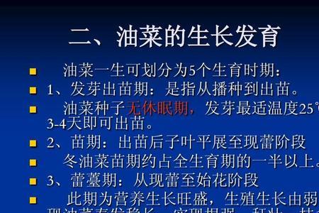 油菜发芽出苗过程图