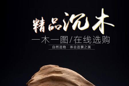 鱼缸能承受多重的沉木