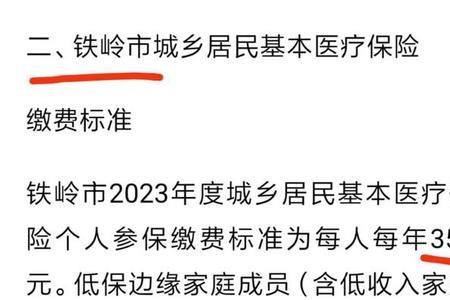 大连自然人社保缴费怎么交不了