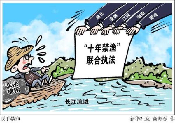 全面实施长江什么禁渔