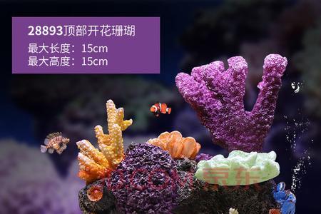 珊瑚入缸前要怎么处理