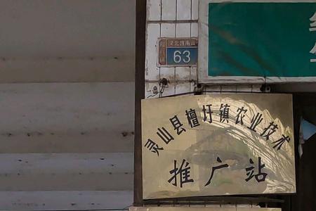 现行乡镇级有农技站吗