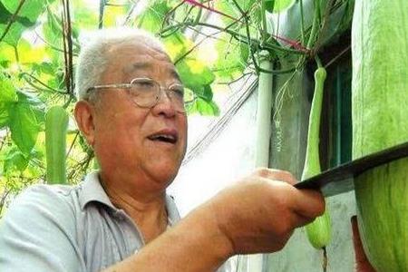 家里种瓜有啥说法