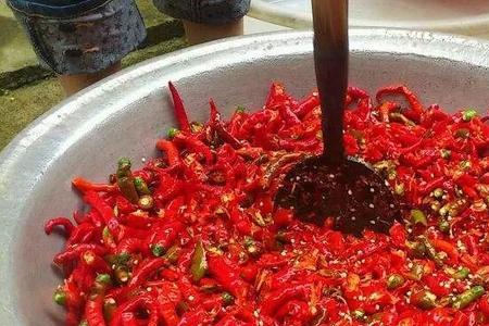 糟辣椒长霉了怎么办