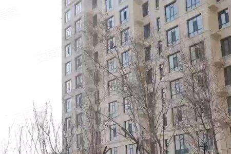 绥化景和福源为什么贵