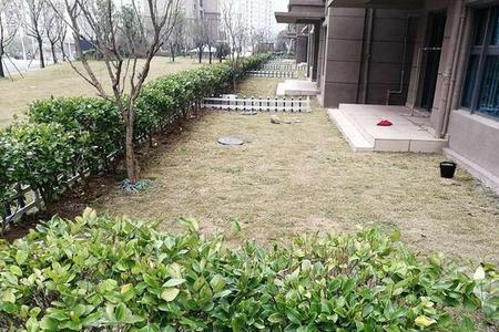 碧桂园一楼房子入住感受