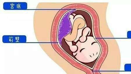 早好什么意思
