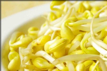 怎么样生黄豆芽