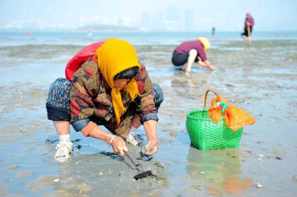 山东赶海十佳排行榜前十名