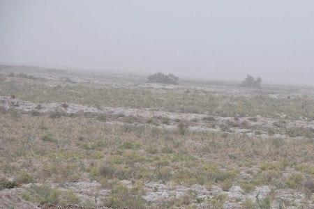 生荒地和熟荒地分别什么意思