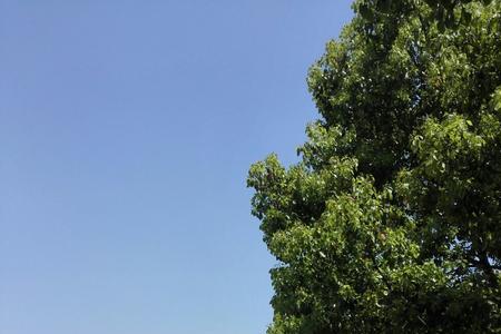 常州湖塘有什么，好玩的