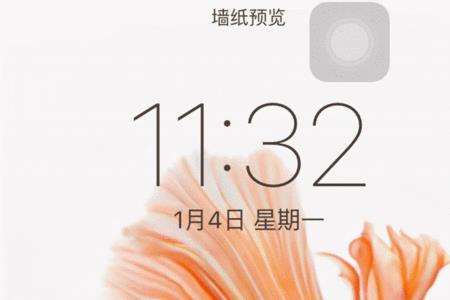 苹果16.02怎么设置动态壁纸