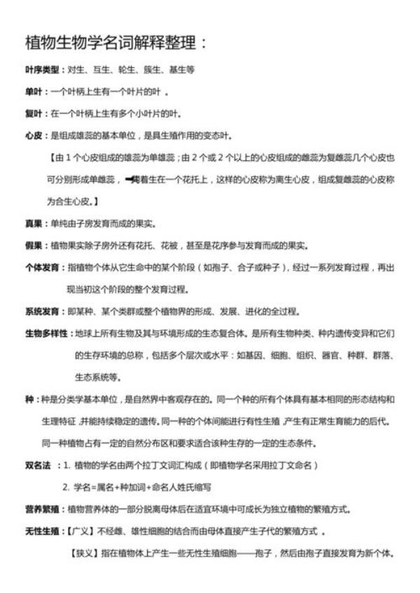 延伸对象名词解释