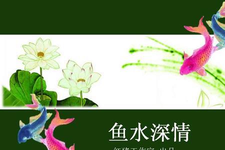 什么鱼最深情